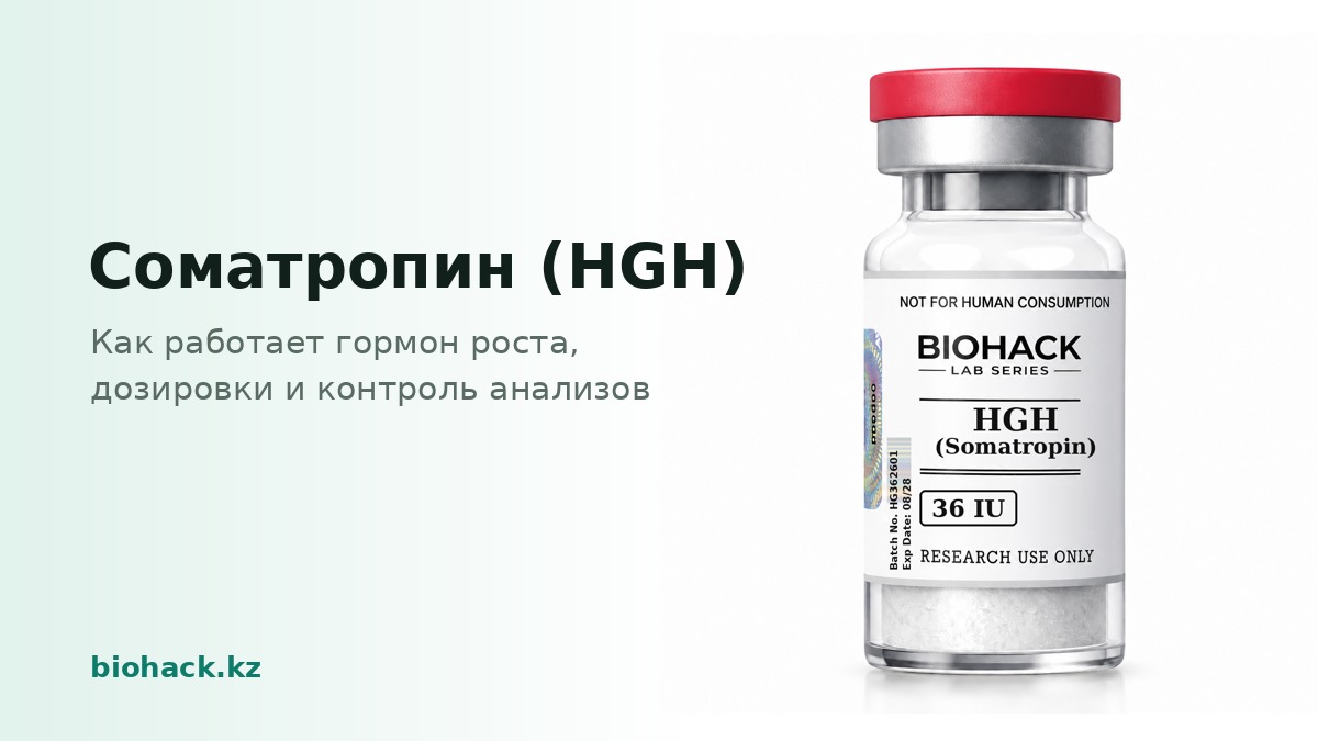 Соматропин (HGH): как работает гормон роста — biohack.kz